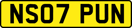 NS07PUN