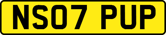NS07PUP