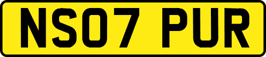 NS07PUR