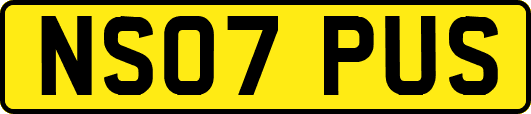 NS07PUS