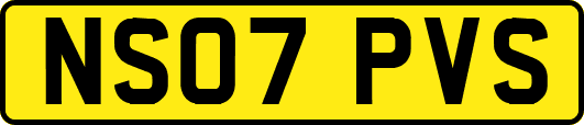NS07PVS