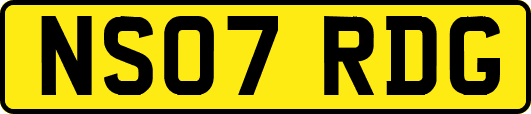 NS07RDG