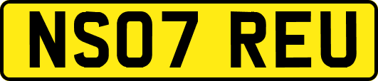 NS07REU