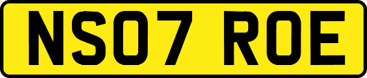 NS07ROE