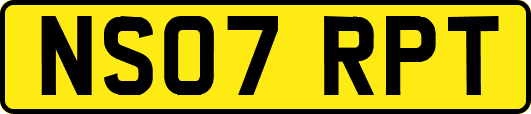 NS07RPT