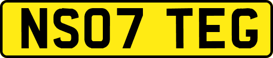NS07TEG
