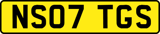NS07TGS