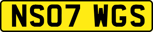 NS07WGS