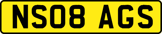 NS08AGS