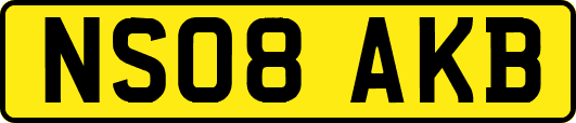 NS08AKB