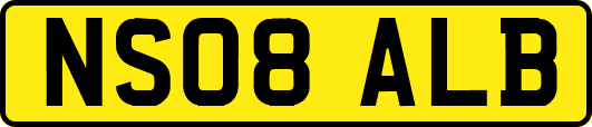 NS08ALB