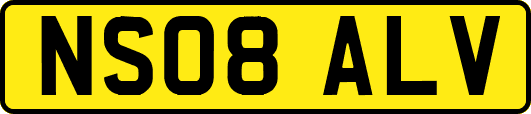 NS08ALV