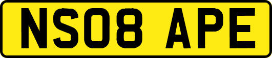 NS08APE