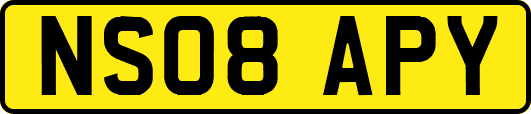 NS08APY