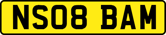 NS08BAM