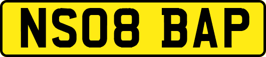 NS08BAP