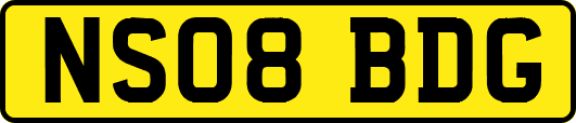 NS08BDG