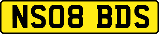 NS08BDS