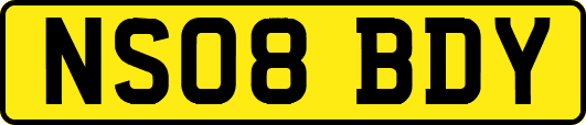 NS08BDY