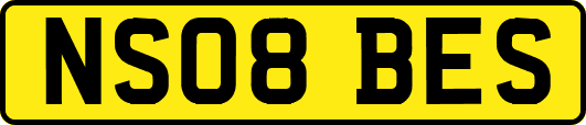 NS08BES