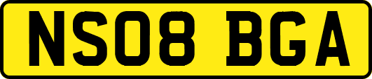 NS08BGA