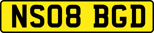 NS08BGD