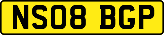 NS08BGP