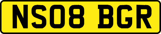 NS08BGR