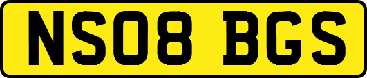 NS08BGS