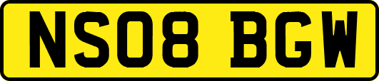 NS08BGW