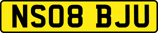 NS08BJU