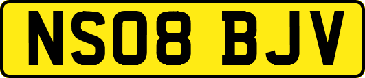 NS08BJV