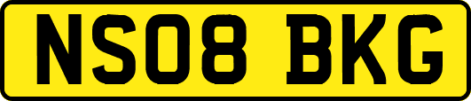 NS08BKG