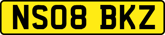 NS08BKZ