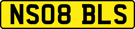 NS08BLS