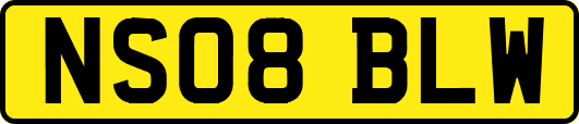NS08BLW