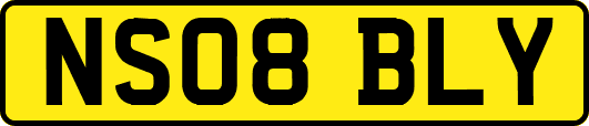 NS08BLY