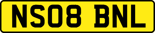 NS08BNL