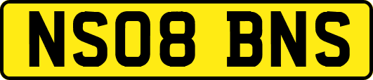 NS08BNS