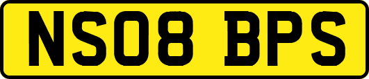 NS08BPS