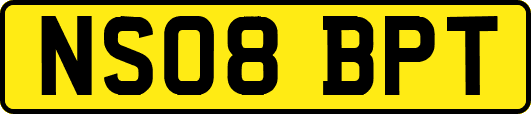 NS08BPT