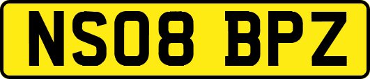 NS08BPZ