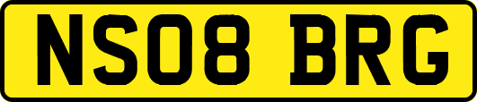 NS08BRG