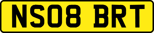 NS08BRT