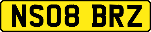 NS08BRZ