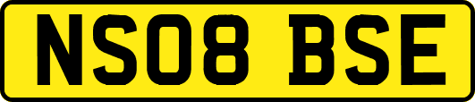 NS08BSE