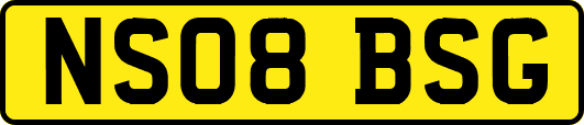 NS08BSG