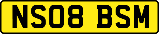 NS08BSM