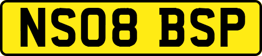 NS08BSP