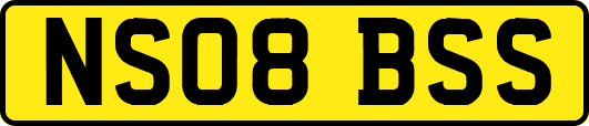 NS08BSS